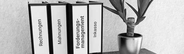 Bildmotive_Newsletter_Inkasso_Forderungsmanagement01 Forderungsmanagement und Inkasso